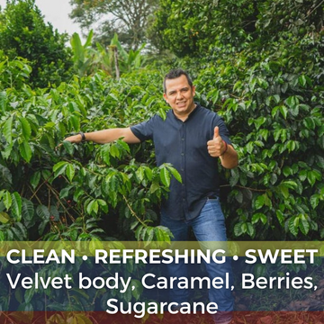 Colombia Huila Elkin Guzman Washed